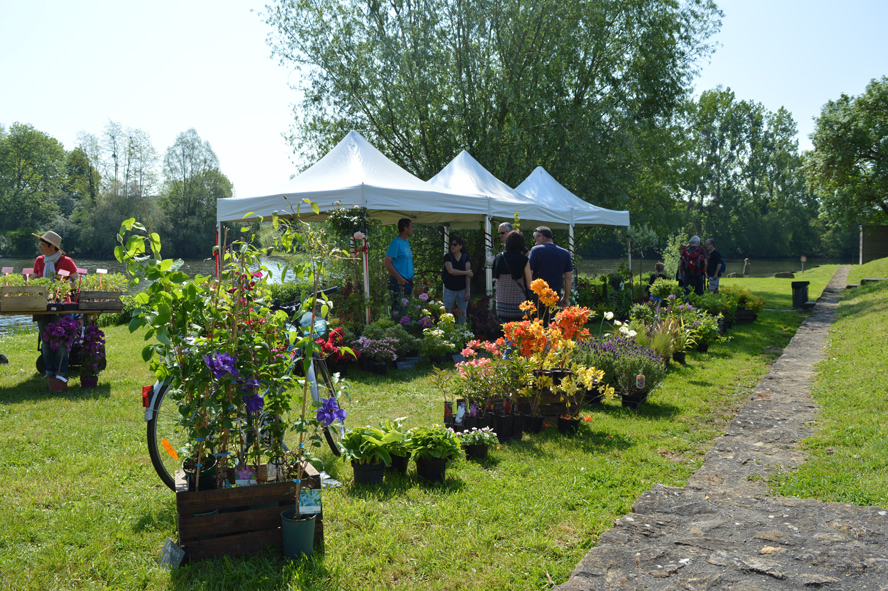 Gros Plan(t) sur le Potager
